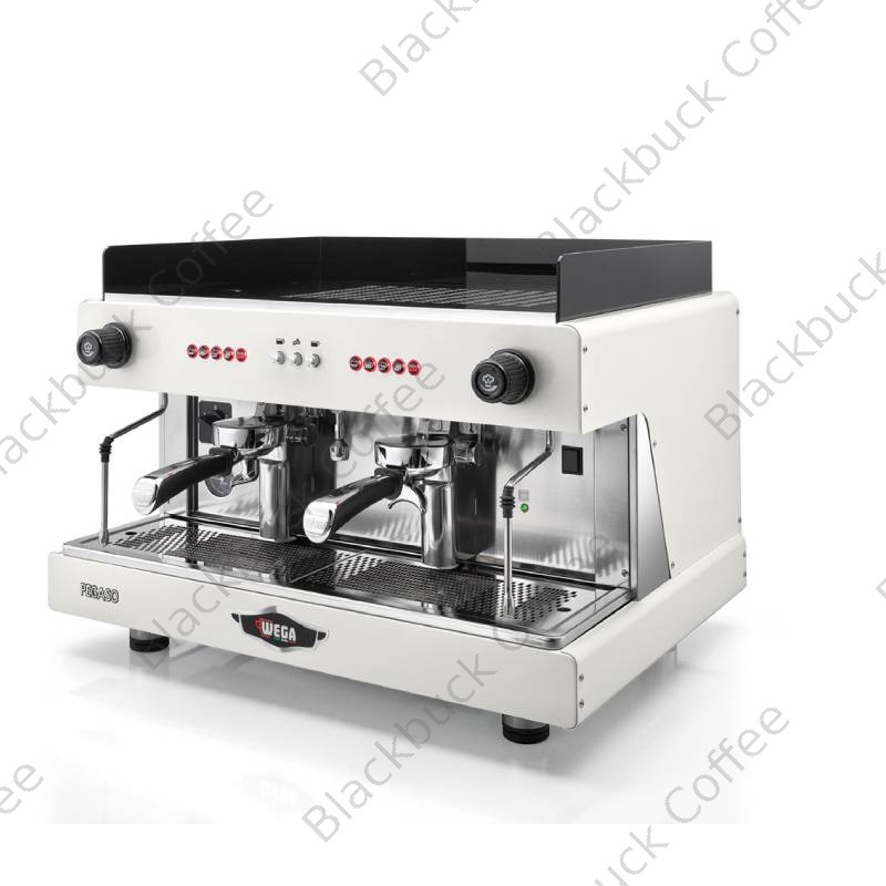 Wega Pegaso — Wega reconditionnée